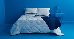 Blankets & Comforters