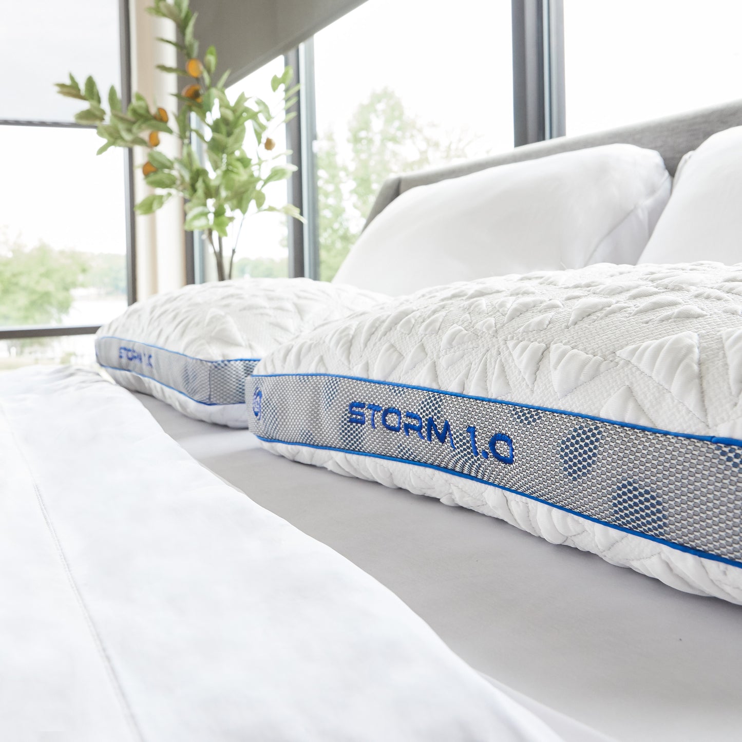 Storm Performance Pillow